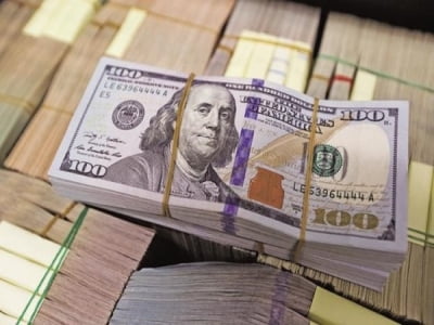 Tỷ giá USD hôm nay 13/2: Tăng giảm thất thường trong tuần