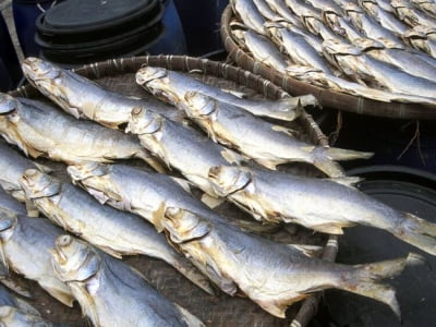7 loại thực phẩm này rất dễ gây ung thư, đặc biệt có một loại cá được nhiều người thích ăn