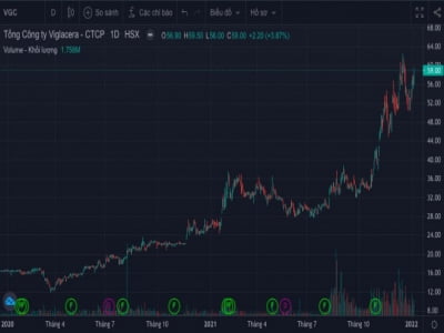 Viglacera lãi kỷ lục hơn 1.100 tỷ đồng năm 2021