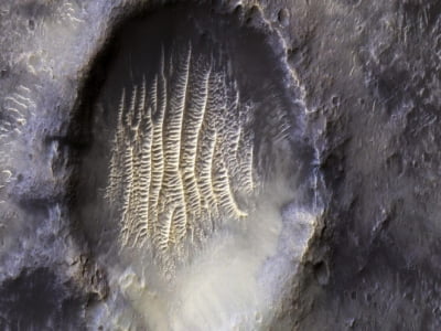 NASA công bố hình ảnh dấu vân tay trên hành tinh khác