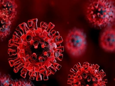 Cơ chế giúp nhiều người gần như miễn nhiễm SARS-CoV-2: triển vọng về siêu vắc-xin