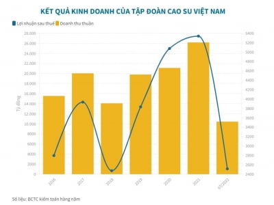 Mỗi ngày, Tập đoàn Cao su Việt Nam thu về gần 14 tỷ đồng
