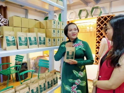 Tavina Health and Beauty: sản phẩm chăm sóc sức khỏe, sắc đẹp vì người Việt