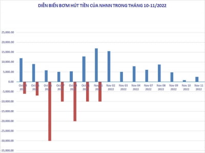 Ngân hàng Nhà nước bơm ròng 117.000 tỷ đồng, lãi suất qua đêm sụt giảm