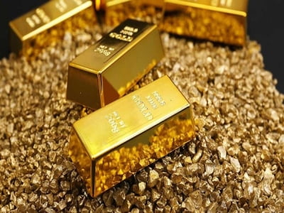 Giá vàng tiến sát 55 triệu đồng/lượng, đắt hơn vàng thế giới cả triệu đồng