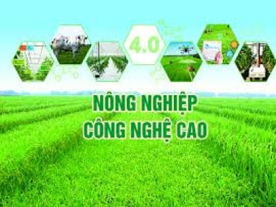 Viện Khoa học Công nghệ ứng dụg và Sở Nông nghiệp Và Phát triển Nông thôn Tỉnh Bà Rịa Vũng Tàu phối hợp với TVO cùng đồng hành  trao đổi kinh nghiệm các mô hình " Nông nghiệp công nghệ cao"