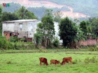 “Đất đai không chịu thuế nên người ta vẫn cứ giữ đất để đấy”