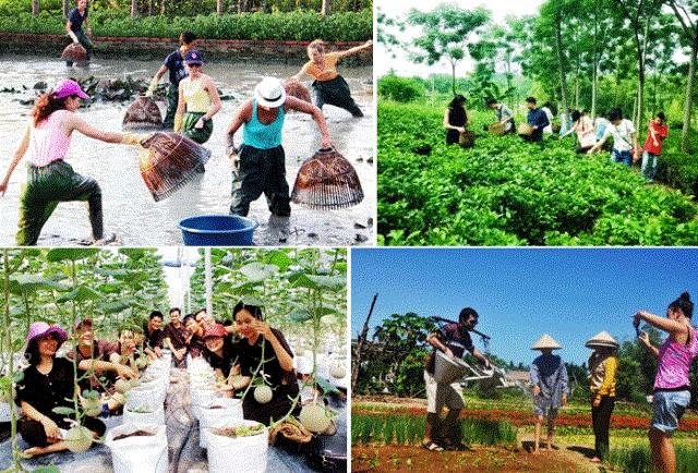 Đắk Lắk: Phát triển nông nghiệp gắn với du lịch sinh thái